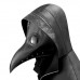 The Plague Doctor